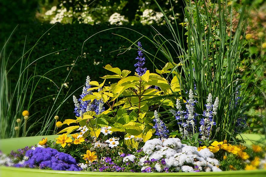 bunga-bunga, tanaman pot, penanaman, penuh warna, pameran, berkembang, berkebun, dekoratif