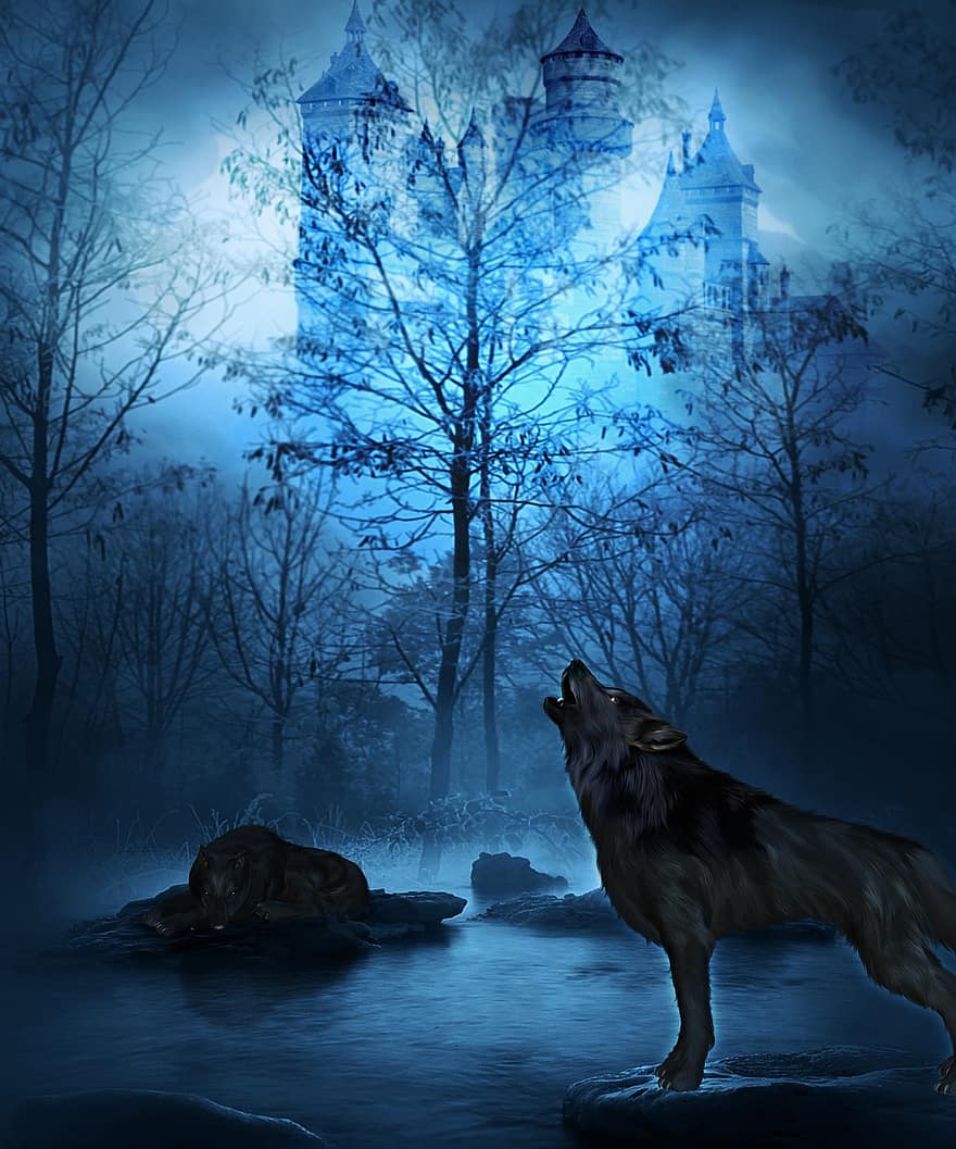 λύκος, Νύχτα, δάσος, νερό, κάστρο, άγρια ​​ζωή, δέντρο, μπλε, βράχος, μπλε δάσος, μπλε δέντρο