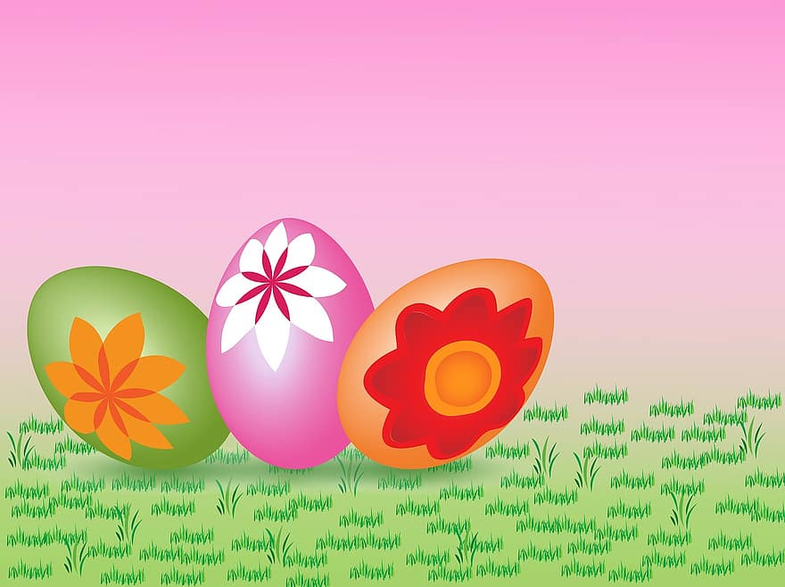 rosa, celebrazione, colorato, decorato, decorazione, Pasqua, uovo, campo, fiore, erba, verde