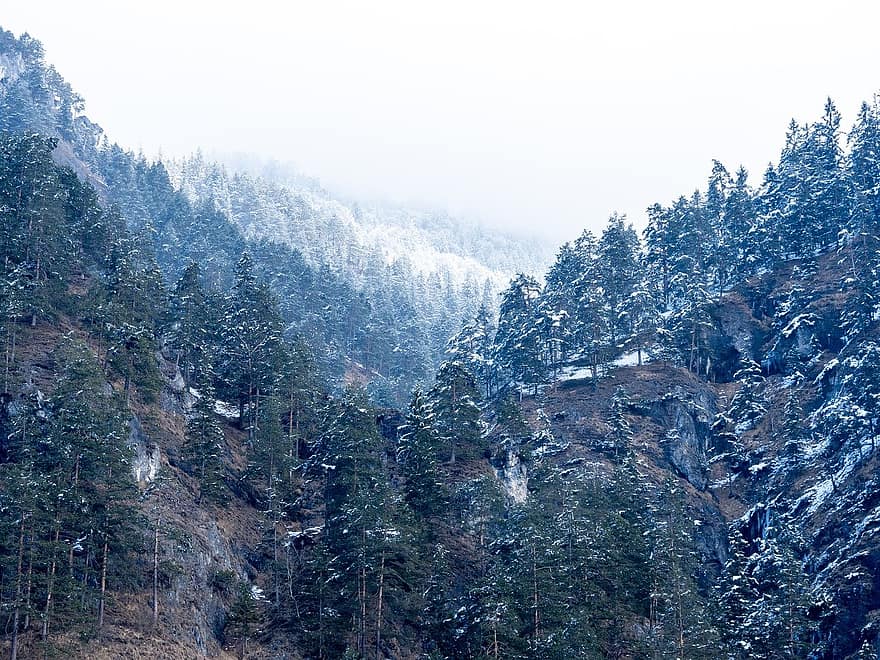 núi, Thiên nhiên, ngoài trời, tuyết, mùa đông, rừng, gỗ, phong cảnh, cây, Nước đá, sương giá