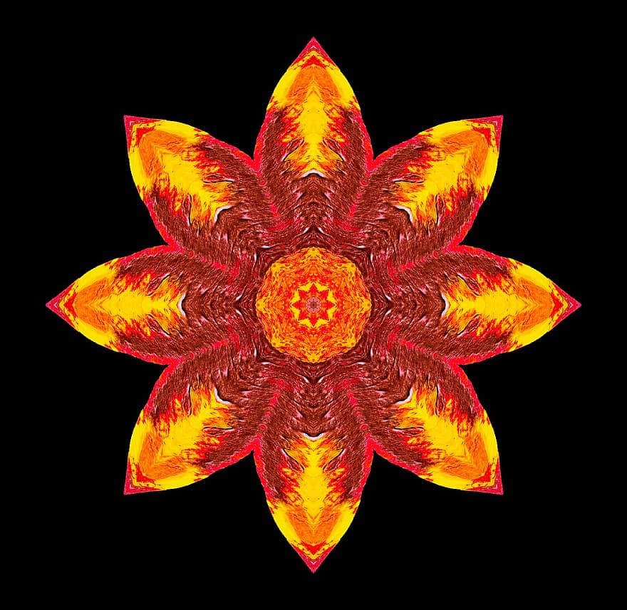 ruusuke, Mandala, ornamentti, kukka, tapetti, sisustus, koriste-, symmetrinen, rakenne, graafinen, kuvio