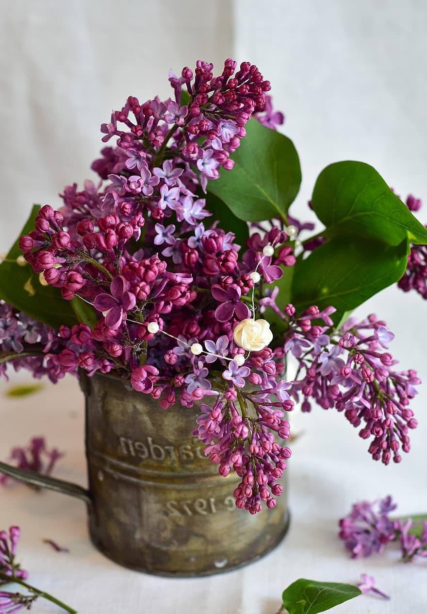 ライラック、花束、フラワーズ、植物、紫色の花、花、臍、春、低木、花瓶、自然