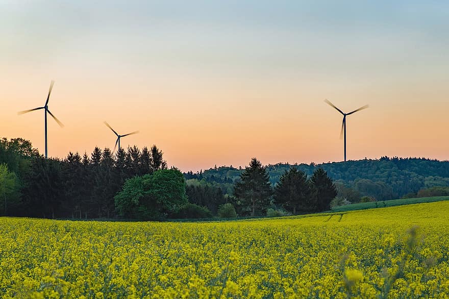 turbine eoliche, mulino a vento, energia, foresta, tramonto, paesaggio, rinnovabile, ecologico, ecologia, natura