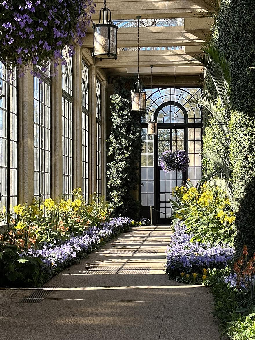 hivernacle, veranda, Longwood, flor, planta, arquitectura, estiu, cap de flor, jardí formal, finestra, color verd