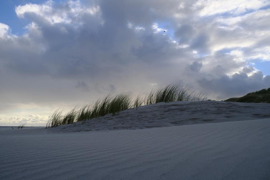 plajă, nisip, apus de soare, seară, Ameland, Hollum, amurg, nori