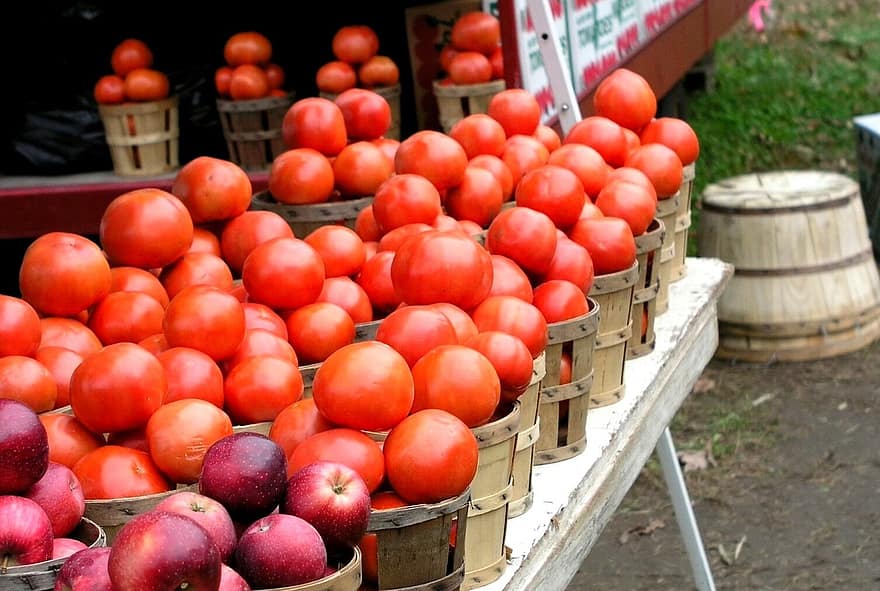 viljelijä, markkinoida, tomaatit, omenat, terve, tuottaa, ruokakauppa, hedelmä, vihannes, paikallinen, viljelijän