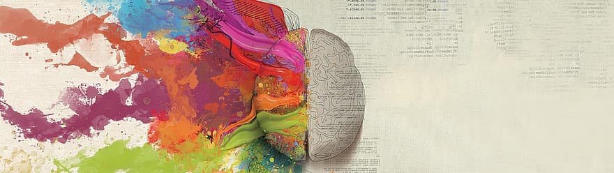 hjärna, färger, kreativitet, konstnärlig, färgrik, baner, kunskap, aning, begrepp, bakgrund, tapet