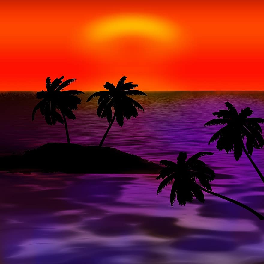 palma, mare, vacanze, tramonto, caraibico