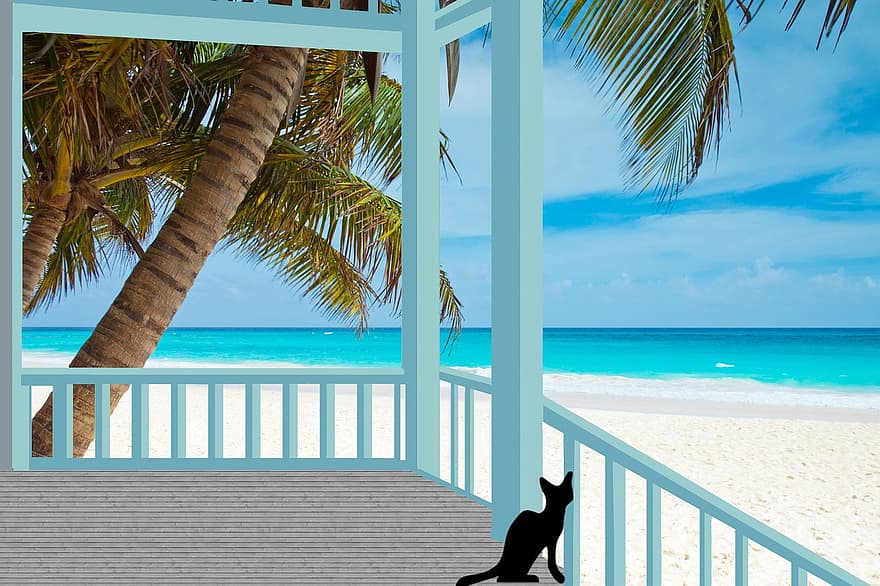 Sea, Black Cat, Ocean, Nature, Summer, Blue, Sand, Landscape, Balcony, Gallery, Seaside