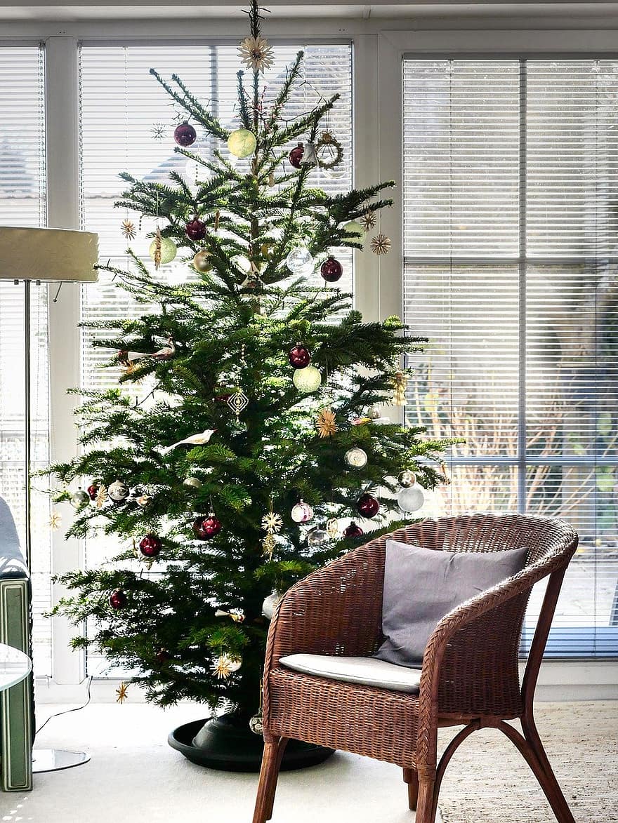 juletræ, stue, vindue, kurvstol, dekoration, advent, julepynt, indendørs, træ, hjemlige værelse, hjem interiør