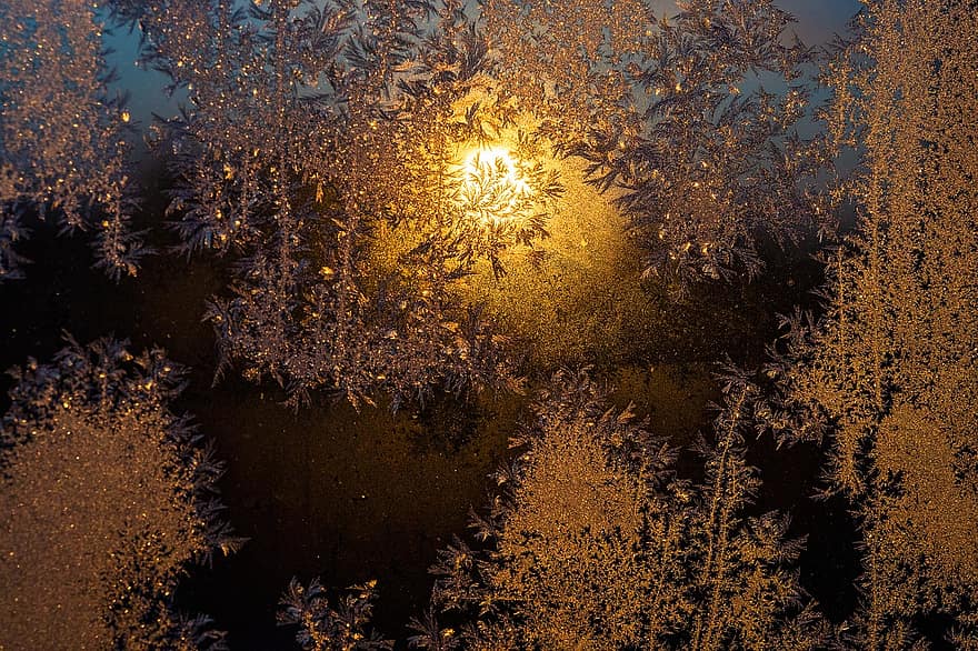 is, frost, glas, kall, mönster, snö, frysta, lugna, vinter-, utomhus, bakgrunder