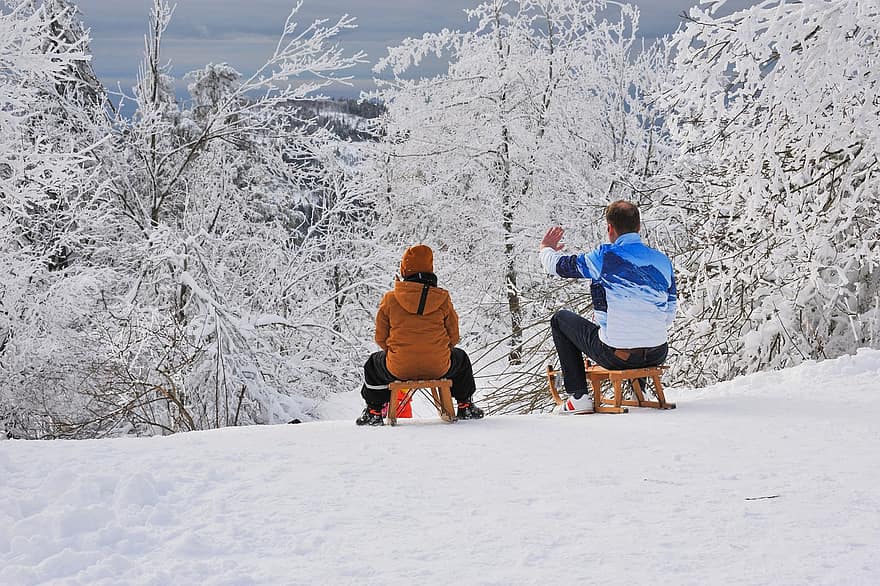 mùa đông, tuyết, Xe trượt băng, xe trượt tuyết, thời gian giải trí, trượt tuyết, phong cảnh mùa đông, phong cảnh, Thiên nhiên