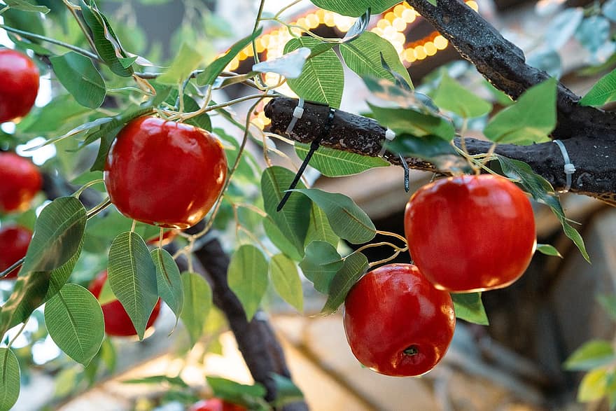 eple, frukt, tre, rødt eple, grener, moden, anlegg, blader, mat, sunn, ernæring