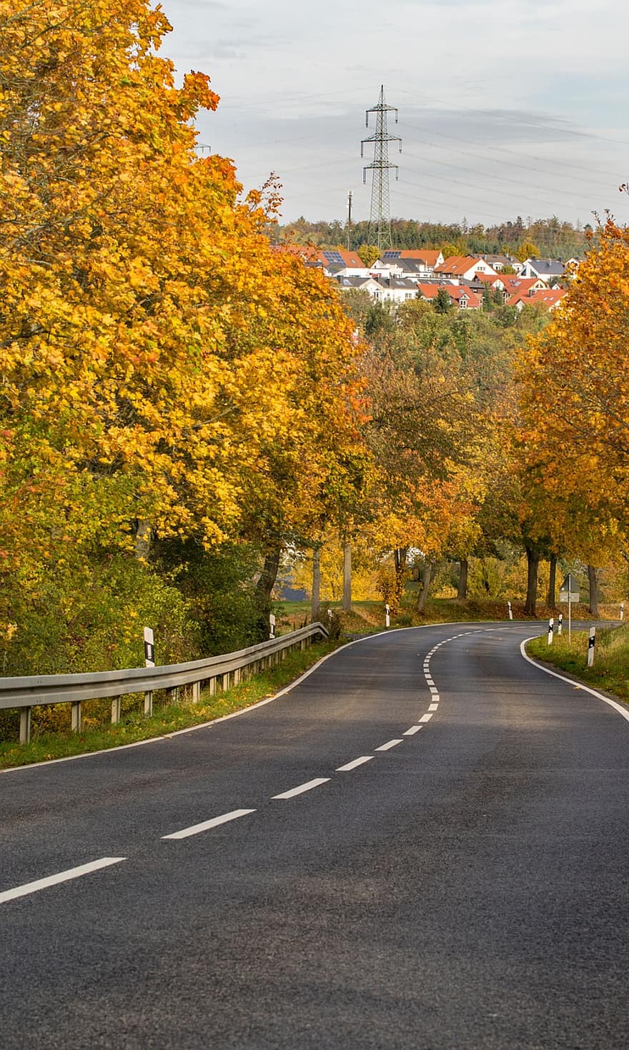Road, Trees, Autumn, Curve, Roadway, Pavement, Landscape, Woods, Fall