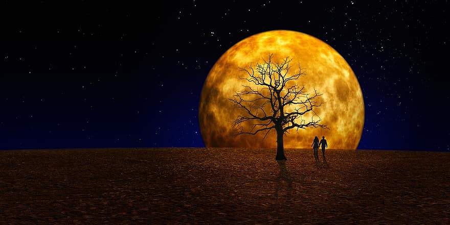 Climate Change, Drought, Full Moon, Dry Landscape, Climate Protection, Pxclimateaction, Moon, Night, Universe, Moonlight, Mystical