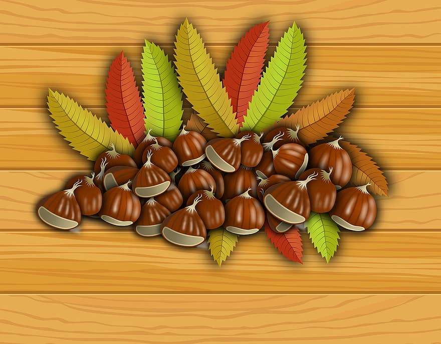 kacang kastanye, buah-buahan, kastanye, musim gugur, musim dingin, alam, tanaman, vegetasi, bunga, Daun-daun, landak