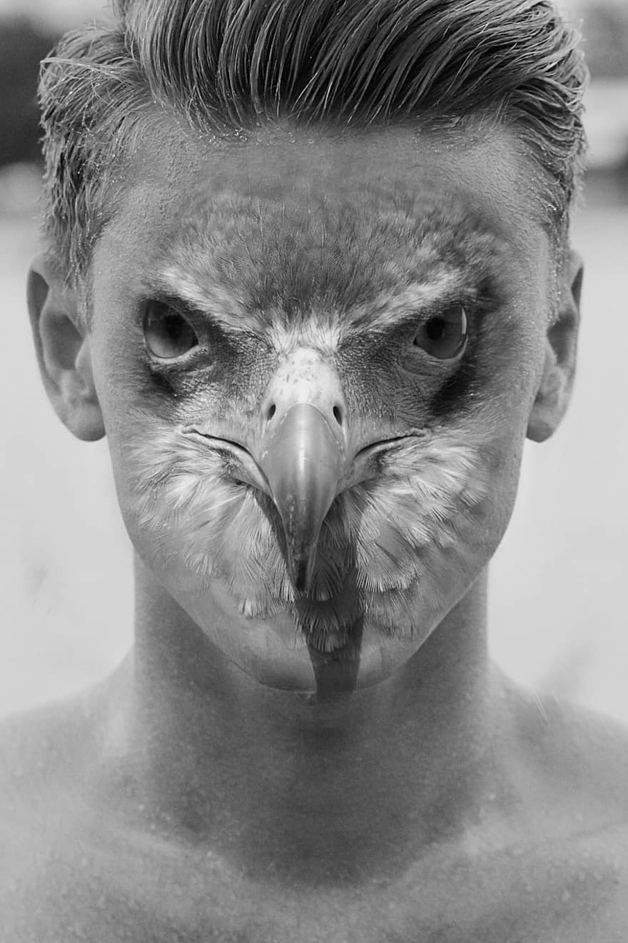 Птица с человеческим лицом фото