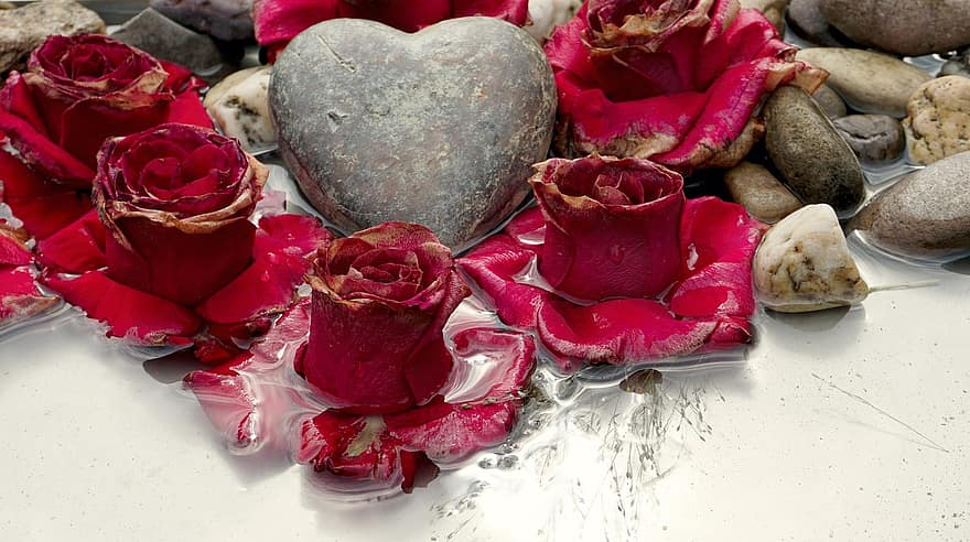赤いバラ、心臓、小石、水、バラ、フラワーズ、花びら、咲く、石、装飾的な