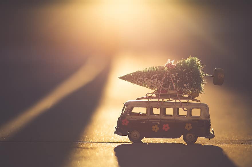 leluauto, joulukuusi, auringonvalo, ajoneuvo, joulu, juhlii, perhe