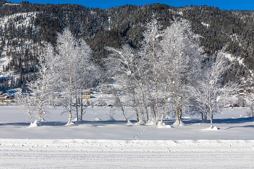 Snow, Trees, Field, Tire Tracks, Mountains, Bare Trees, Frozen, Frost, Frosty, Hoarfrost, Wintry