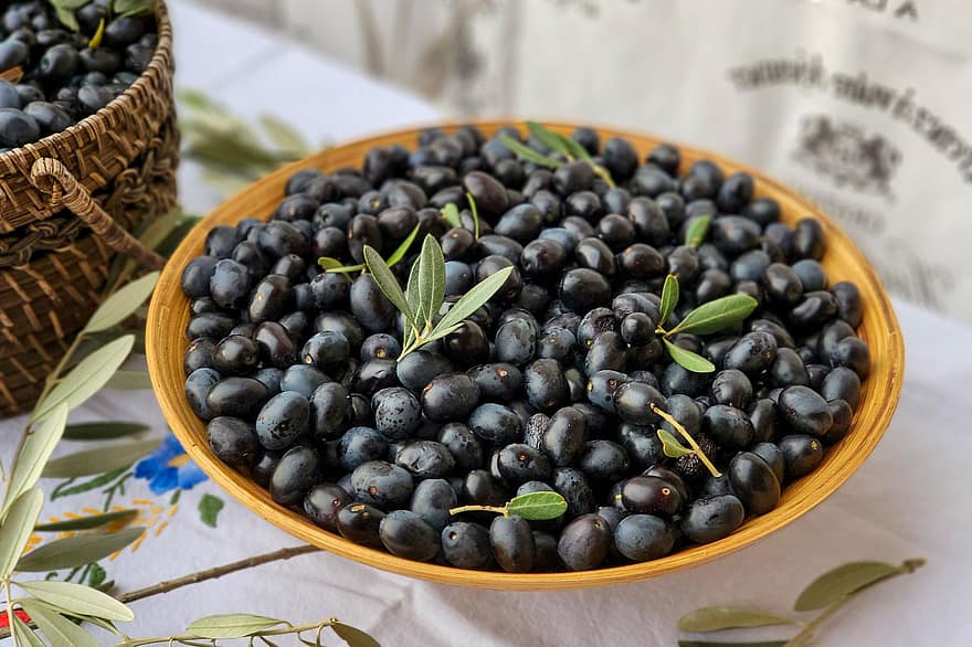 oliven, høst, olivenolie, mad, natur, organisk