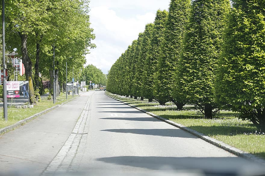 avenue, stromy, Bad Füssing, park, silnice, ulice, chodník, krajina, živý plot, městský
