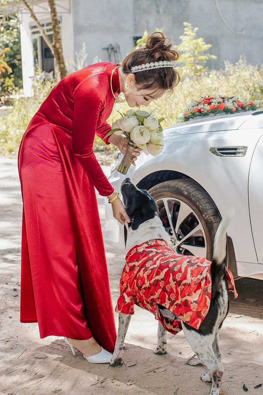 rochie lunga, nuntă, câine, Nunta Vietnam