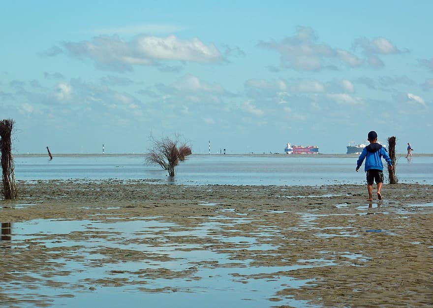 Wadden Sea, Beach, Coast, Low Tide, Nature, summer, water, blue, sand, vacations, travel