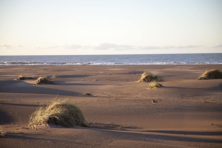 cát, biển, patagonia