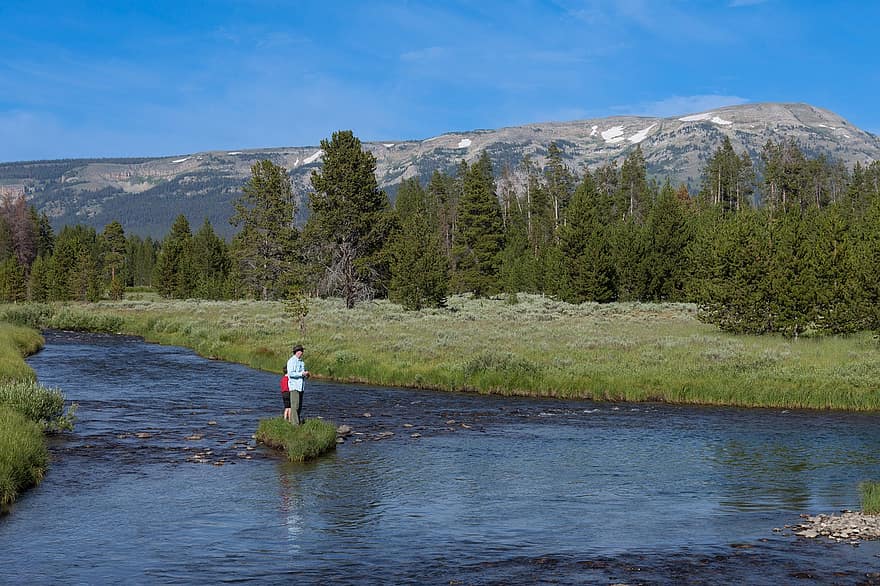 Woods, Fly Fishing, National Park, Travel, Wy, Yellowstone, Outdoor, Wallpaper, Scenic, Calm, Business