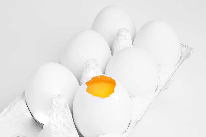 अंडा, शेल, डिब्बा, सफेद, जर्दी, खा, खाना, स्वस्थ, रसोइया