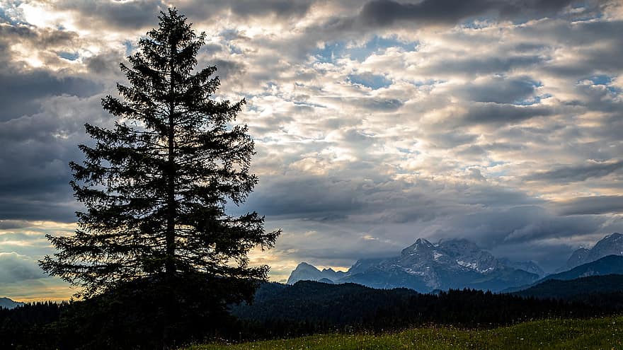 alpin, Berge, Landschaft, Natur, Wald, Bayern, Panorama, Wandern, Urlaube, Allgäu, Wolken