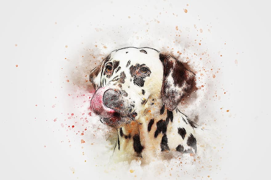 σκύλος, πορτρέτο, κατοικίδιο ζώο, τέχνη, αφηρημένη, κρασί, ακουαρέλα, λυπημένος, ζώο, φύση, καλλιτεχνικός