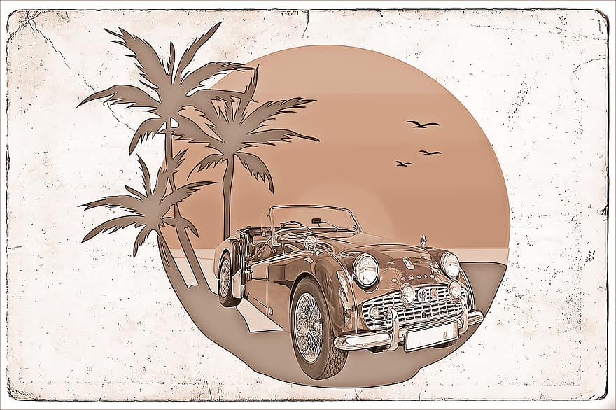 auto-, antieke auto, voertuig, palmboom, sportwagen, ansichtkaart, achtergrond