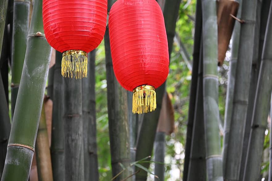 Festival, lanterne, décoration, traditionnel, des cultures, fête, culture chinoise, culture est-asiatique, culture indigène, fête traditionnelle, bois