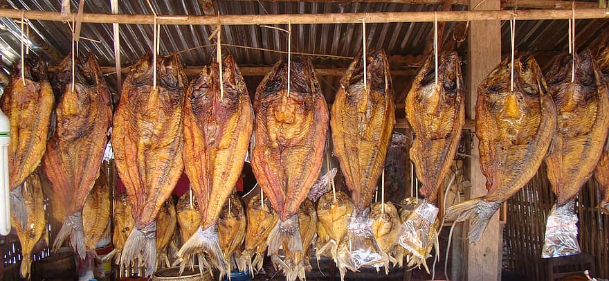 peixe seco, Laos, Comida, frutos do mar, gourmet, peixe, culturas, frescura, cozinhando, fechar-se, Alimentação saudável