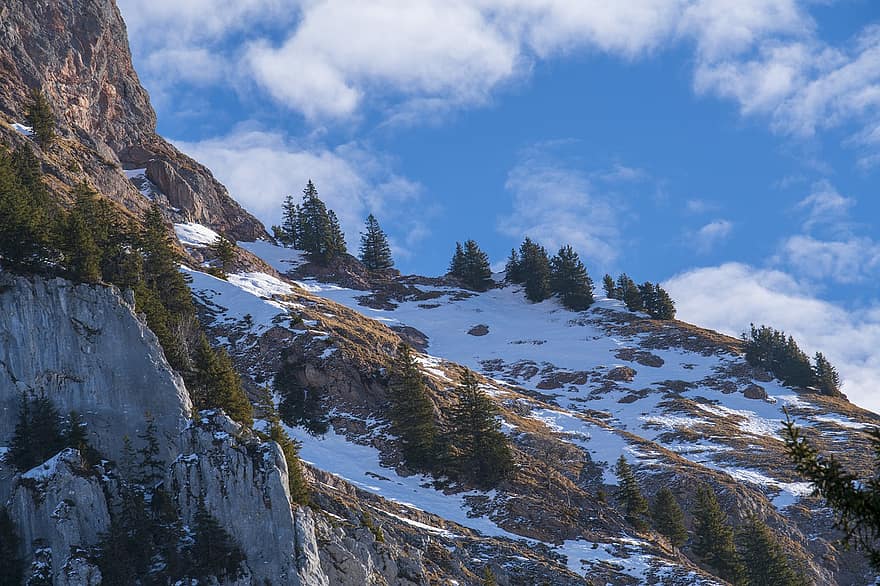 Thụy sĩ, núi, alps, mùa đông, tuyết, rừng, đỉnh núi, phong cảnh, cây, Nước đá, dãy núi