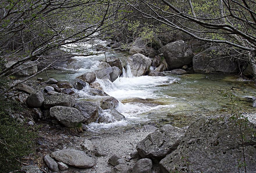 川、自然、森林、岩、水、木、森の中、風景、流れる、石、山