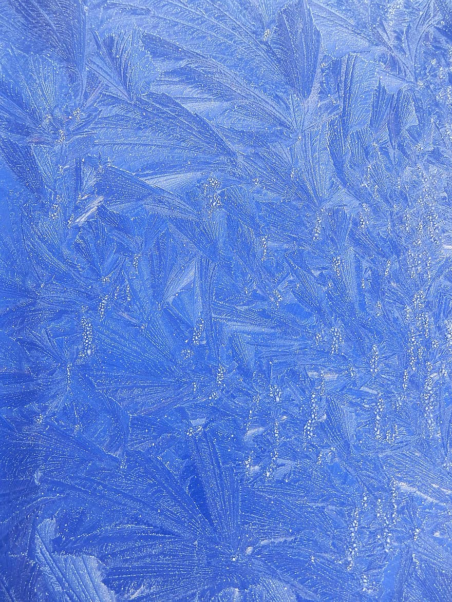 frost, jack frost, vinter, is, kald, design, fjær, blå, hvit, klar, mønster