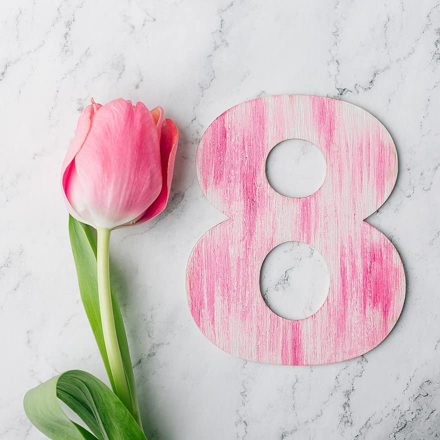 marts 8, internationale kvindedag, tulipan, lyserød blomst, pink tulipan, blomst, lyserød farve, baggrunde, kronblad, blomsterhoved, plante