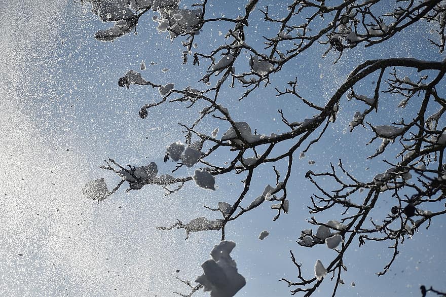 Branches, Tree, Snow, Snowy, Cold, Winter, Sky