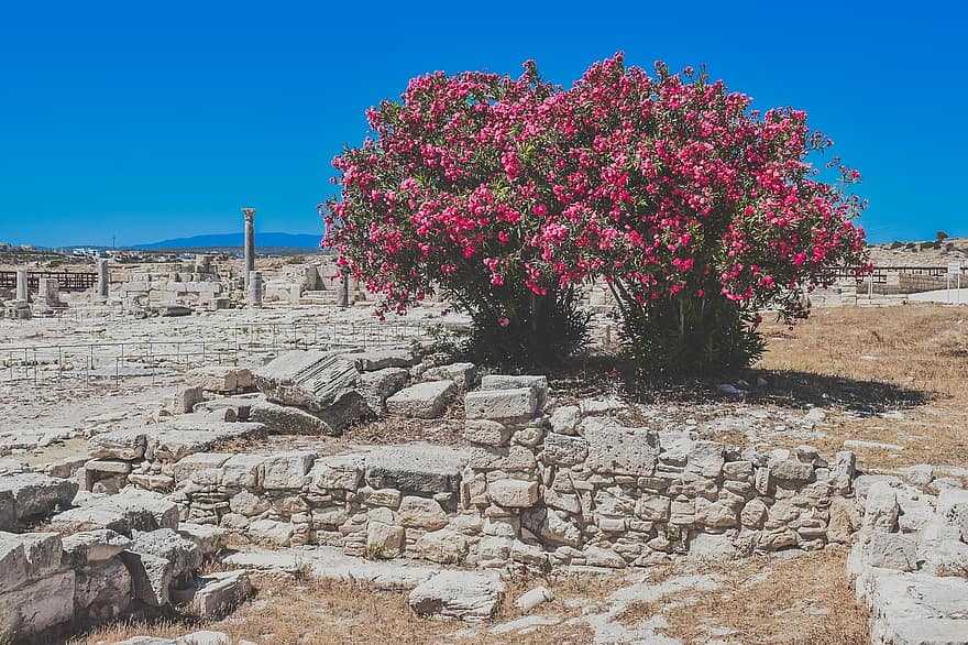 rovine, Kourion, Cipro, antico, paesaggio, storico, monumento, punto di riferimento, greco, romano, eredità