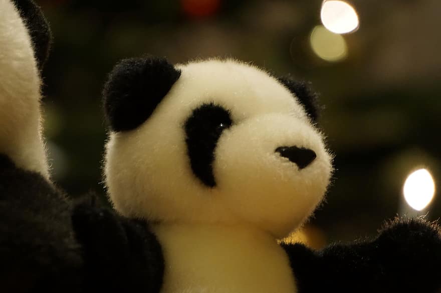 Peluche, felpa, panda, juguete, linda, de cerca, oso de peluche, invierno, piel, celebracion, regalo