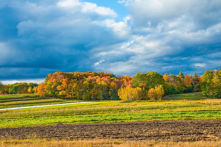 otoño, granja, cielo, azul, vistoso, mohan, nannapaneni