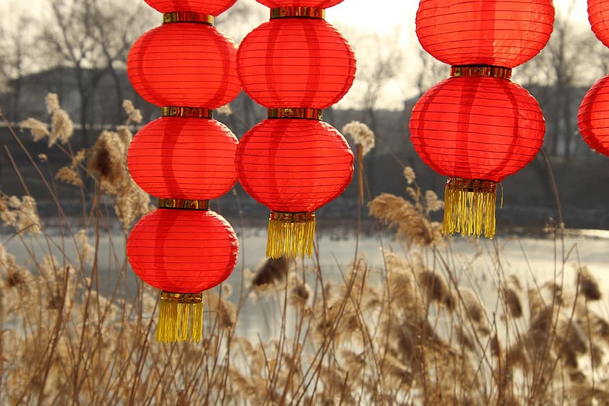 Chinese lantaarns, opknoping, Nieuwjaar, lantaarns, rode lantaarns, papieren lantaarns, winter, decoratie, decor, riet, vijver