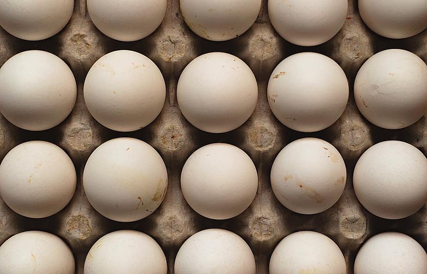 Eggs, Hen, Food, Chicken, Poultry, Shell