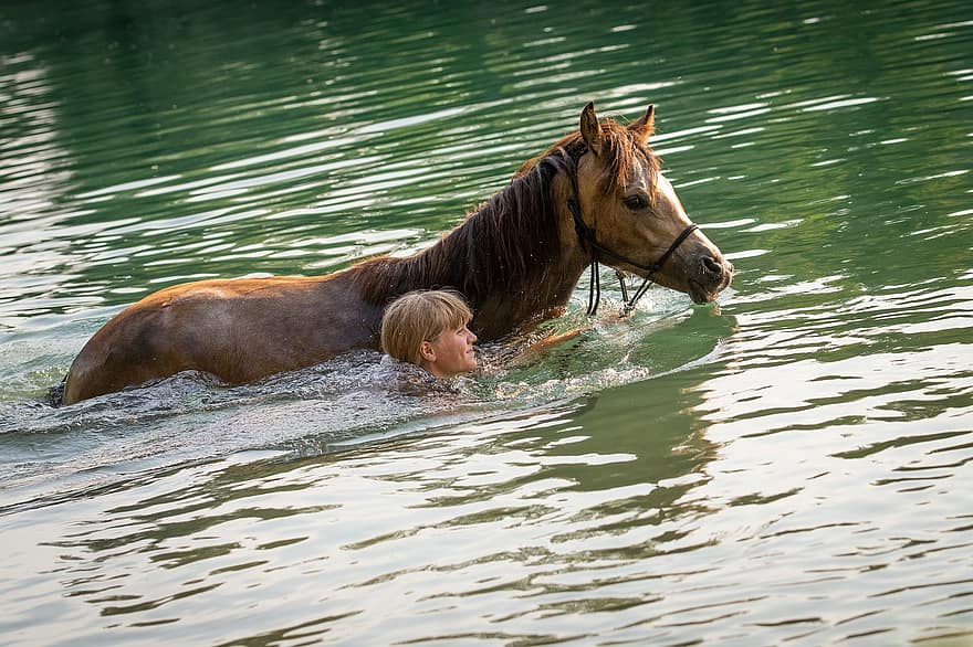 момиче, кон, пони, конче, езеро, плуване