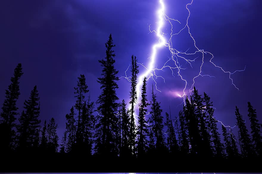 Lightning, Thunderstorm, Weather, Lightning Strike, Flash, Nature, Sky, Night, Evening, Woods
