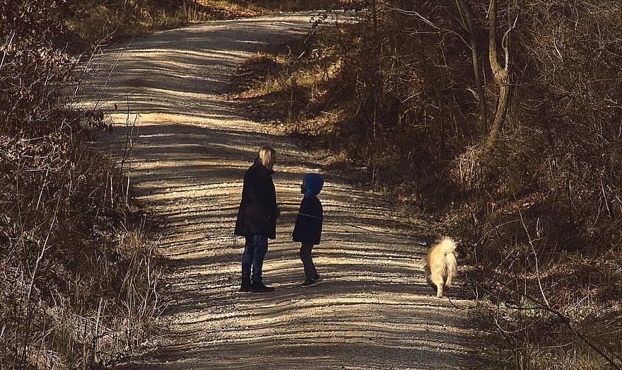 femme, chien, enfant, chemin forestier, soleil du matin, lignes, rayé, contraste, abstrait, paysage, en marchant