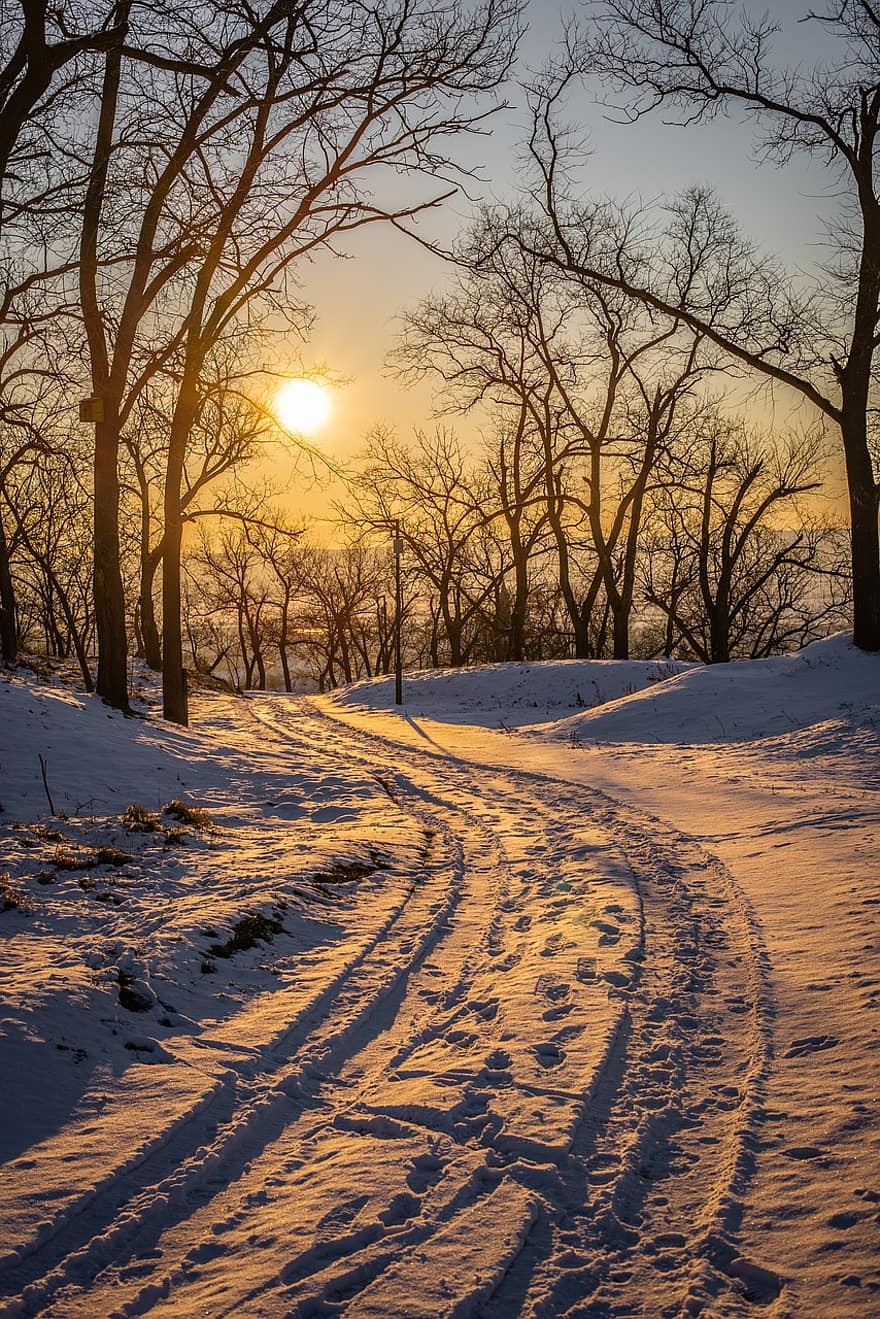 inverno, la neve, strada, tramonto, crepuscolo, alberi, viale, brina, sentiero, freddo, paesaggio